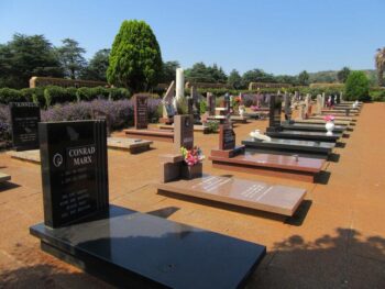 Overview - Westdene Bus Disaster
