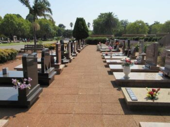 Overview - Westdene Bus Disaster